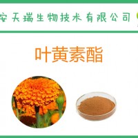 叶黄素酯10% 万寿菊提取物 食品级叶黄素