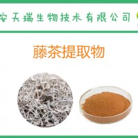 藤茶提取物10:1  速溶藤茶粉/显齿葡萄叶