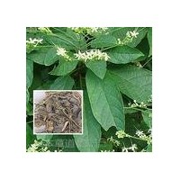广豆根提取物