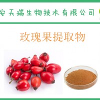 玫瑰果提取物10:1 玫瑰果黄酮  当季新品