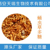 蛹虫草多糖20% 蛹虫草粉 蛹虫草提取物