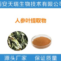 人参皂甙10:1 人参总皂苷10%  人参茎叶提取物