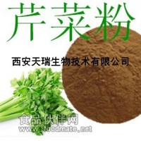 芹菜粉  芹菜浓缩萃取
