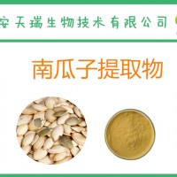 南瓜籽提取物10:1 水溶南瓜籽粉 另有20:1