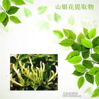 山银花粉 山银花速溶粉