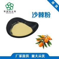 工厂发货 沙棘粉 沙棘提取物 药食同源 食品原料添加
