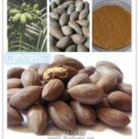 榧子粉 榧子提取物
