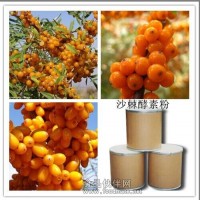 沙棘粉 沙棘速溶粉 沙棘喷雾干燥粉