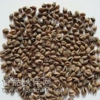 金荞麦粉 金荞麦提取物