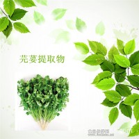 芫荽粉 芫荽速溶粉