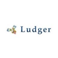 APTS标记多糖标准品-Ludger糖基化产品