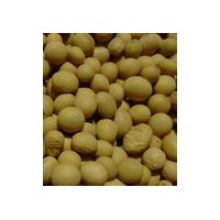 供应   染料木素  价格
