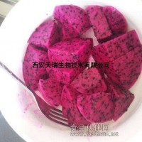 红心火龙果提取物    红心火龙果粉