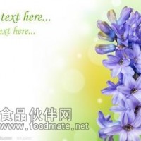 西安天瑞丁香提取物  丁香浸膏粉   丁香浓缩物