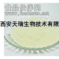 青苹果粉 水溶苹果粉 天然苹果粉