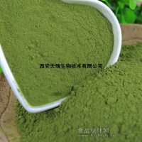 猕猴桃粉 6倍浓缩原汁粉 鲜榨浓缩 低温干燥