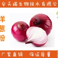 洋葱粉  洋葱提取物 洋葱原粉