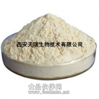 6倍浓缩原汁粉 杨梅粉 杨梅汁粉 鲜果加工