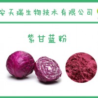 紫甘蓝粉-厂家   紫甘蓝提取物  固体饮料