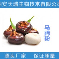 马蹄提取物   马蹄粉  马蹄速溶粉