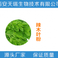 辣木叶提取物  辣木叶粉