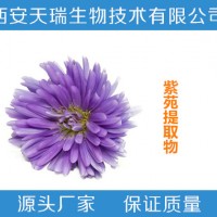 紫苑提取物10:1 20:1