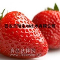 天然草莓粉 草莓粉 草莓汁粉