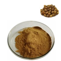 铁皮石斛粉 斯诺特原料供应