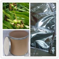 草豆蔻粉 草豆蔻提取物