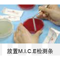 M.I.C.E.检测条