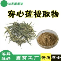 穿心莲提取物 穿心莲内酯 库存充足