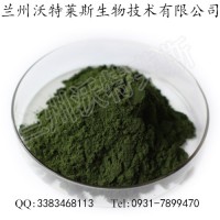 供应食品级 钝顶螺旋藻粉 螺旋藻粉 质量保证量大从优