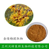 金缕梅粉  金缕梅提取物 大量库存 沃特莱斯供应 1公斤起订