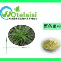 面条菜粉  面条菜提取物 10:1  现货包邮