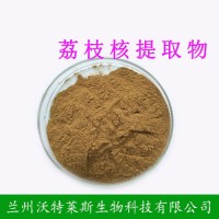 荔枝核提取物 10:1 荔枝核粉 高比例荔枝核粉