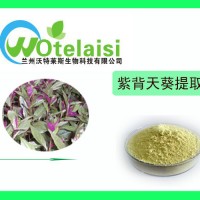 紫背天葵提取物10:1 20:1紫背天葵粉 全国包邮