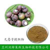 无患子提取物10：1 无患子果提取物 无患子皂甙