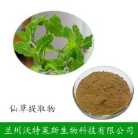 仙草提取物 凉粉草提取物