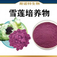 雪莲培养物 水溶性雪莲培养物粉 喷雾干燥 新资源食品