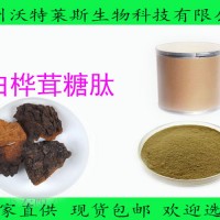 白桦茸多肽 小分子肽 多种规格
