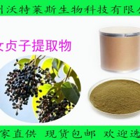 女贞子提取物 齐墩果酸98% 现货包邮