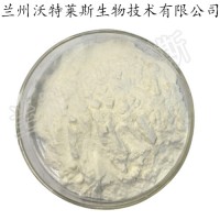 燕窝提取物 燕窝粉 燕窝速溶粉 燕窝酸 唾液酸 90%