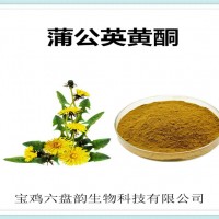 蒲公英提取物 蒲公英黄酮 植物提取物