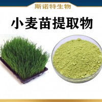 小麦苗提取物 喷雾干燥麦苗青汁粉 水溶性小麦苗粉