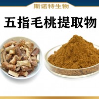 五指毛桃提取物 喷雾干燥 水溶性五指毛桃粉 新资源食品