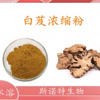 白芨浓缩粉 白芨提取物 斯诺特工厂 资质齐全