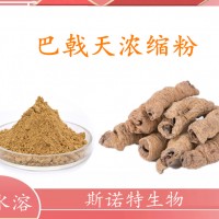 巴戟天浓缩粉 巴戟天提取物 水溶性好 质量稳定