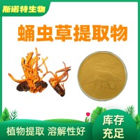 蛹虫草提取物 厂家供应 水溶性好 食品级蛹虫草粉