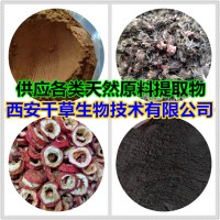 吊罗果提取物吊罗果浓缩粉吊罗果浸膏粉