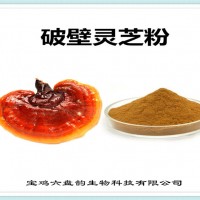 破壁灵芝粉 灵芝粉 生产厂家